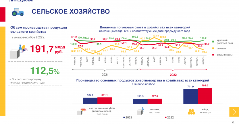 Социально-экономическое положение Липецкой области в январе-ноябре 2022 г.
